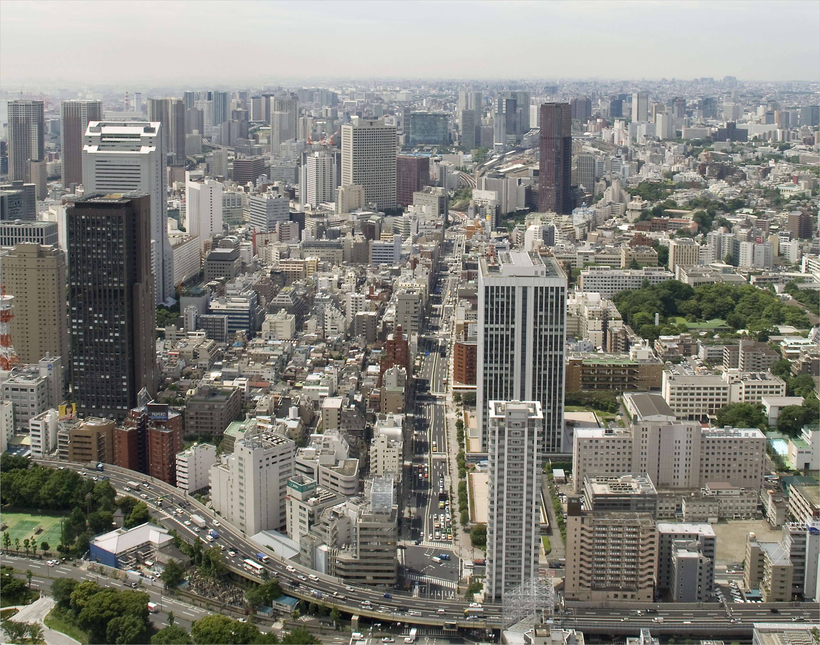 イー・エル・ピーの取り組み